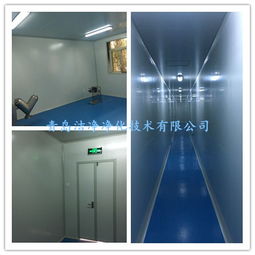 环境净化工程 核心要素、厂家选择与报价指南