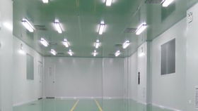 十万级食品洁净厂房装修中的密封胶选择与应用