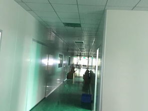 净化工程案例展示 技术应用与实践成效